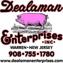 Dealaman Enterprises Inc