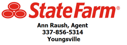 Ann Raush State Farm